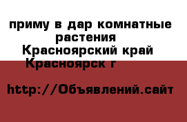 приму в дар комнатные растения - Красноярский край, Красноярск г.  »    